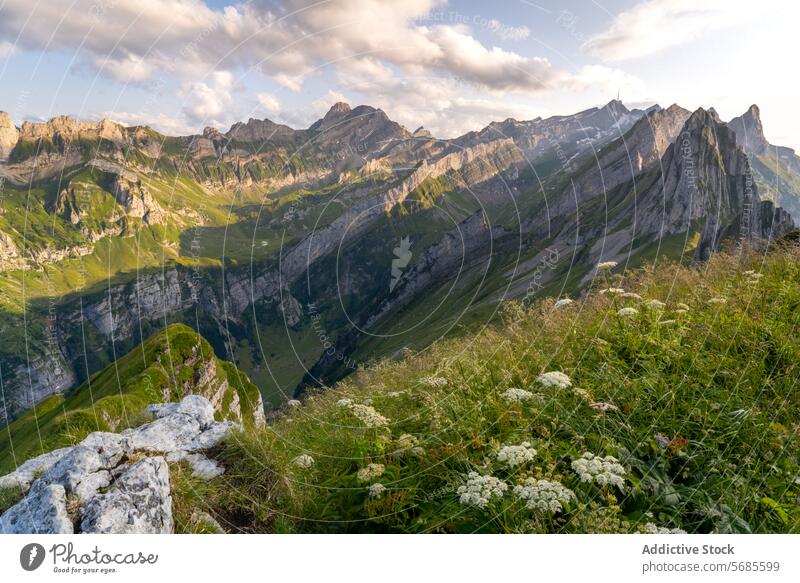 Majestätische Bergsicht im Appenzellerland Berge u. Gebirge Ansicht Gipfel Tal Felsen Formation Sonnenuntergang Himmel üppig (Wuchs) robust dramatisch Natur