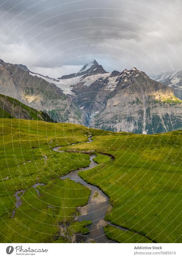 Ruhige Alpenlandschaft mit gewundenem Bach alpin Landschaft strömen Wiese grün Himmel Stimmung Gelassenheit Natur im Freien malerisch ruhig Berge Grasland Tal