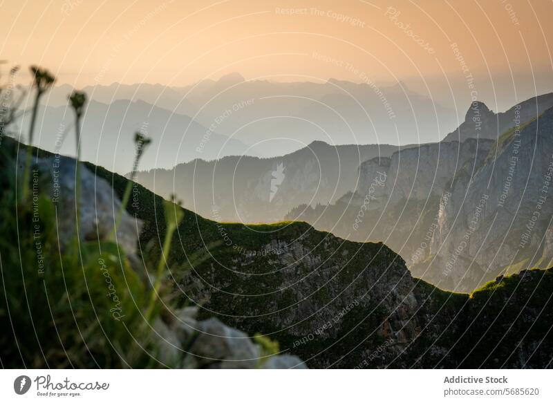 Gelassener Sonnenaufgang über den Appenzeller Gipfeln Berge u. Gebirge Ruhe Landschaft glühen Gelassenheit Ebene Natur im Freien malerisch Schweiz Morgen Licht