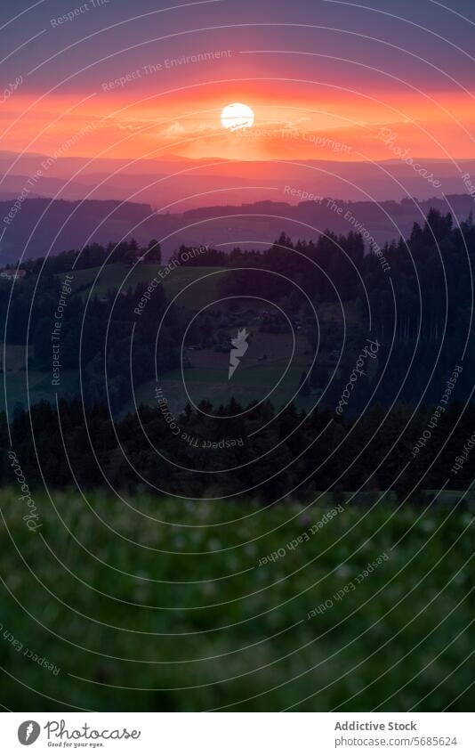 Faszinierender Sonnenuntergang über der Appenzeller Hügellandschaft Landschaft Natur pulsierend orange rot Himmel üppig (Wuchs) rollierend Gelassenheit