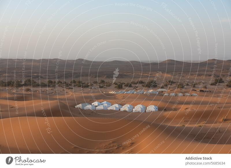 Ruhiger Wüstencampingplatz in Erg Chebbi, Marokko in der Abenddämmerung erg chebbi Merzouga wüst Campingplatz Sand Düne ruhig Zelt reisen Tourismus Abenteuer