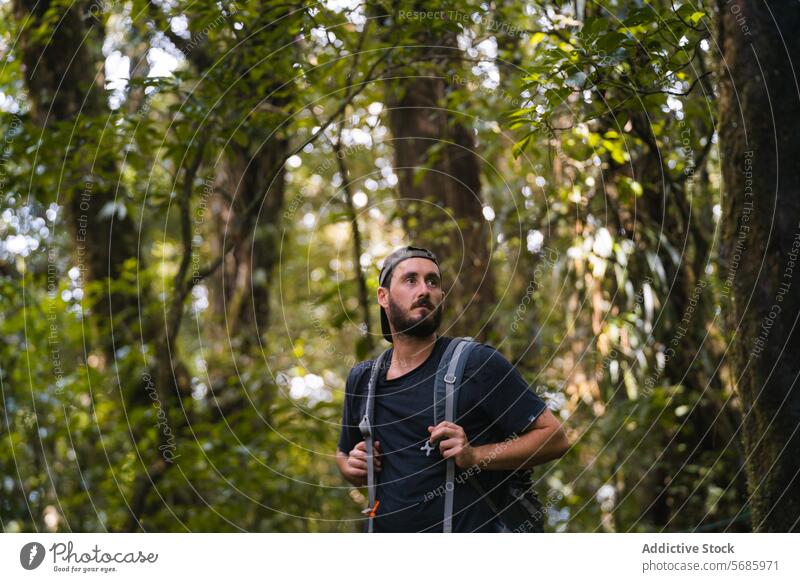 Mann erkundet mit Neugierde einen üppigen Waldweg Wanderer Rucksack Grün Abenteuer Ehrfurcht Erkundung Nachlauf bärtig Natur im Freien Laubwerk üppig (Wuchs)