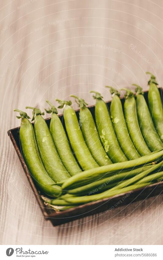 Frische grüne Erbsen in Schoten in einer Holzkiste Hülse hölzern Kasten frisch Gemüse Ordnung Nahaufnahme pulsierend rustikal Hintergrund weich organisch