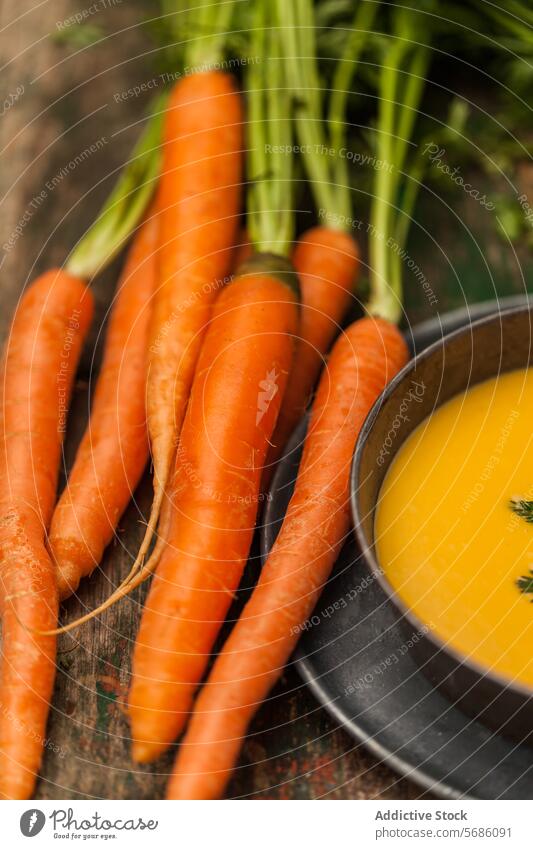 Frische Karotten mit einer Schüssel hausgemachter Karottensuppe Möhre Suppe frisch Gemüse Schalen & Schüsseln cremig rustikal hölzern Oberfläche pulsierend grün