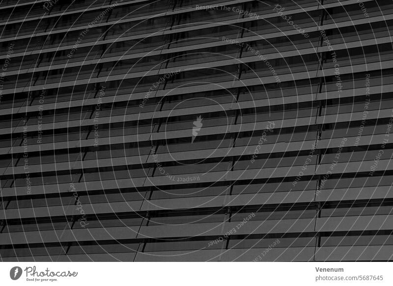 Analogfotografie Berlin, Hausfassade an einem Bürogebäude analog Schwarzweißfoto schwarzweiß Berlin-Mitte Straßenfotografie Foto Fotografie Hauptstadt Fassade