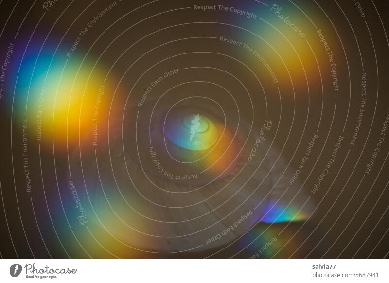 Schnecke in der Disco Schneckenhaus Spirale Lichteffekt Farbfoto Strukturen & Formen Spektralfarben rund Illumination Lichtspiel Design Symmetrie Farbe
