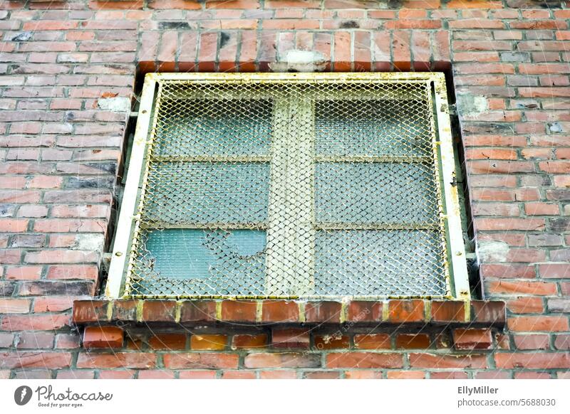 Altes vergittertes Fenster in einem verlassenen Industriegebäude alt Gitter gitterartig Fassade Gebäude Wand Haus Mauer Bauwerk trist Backsteinwand dreckig