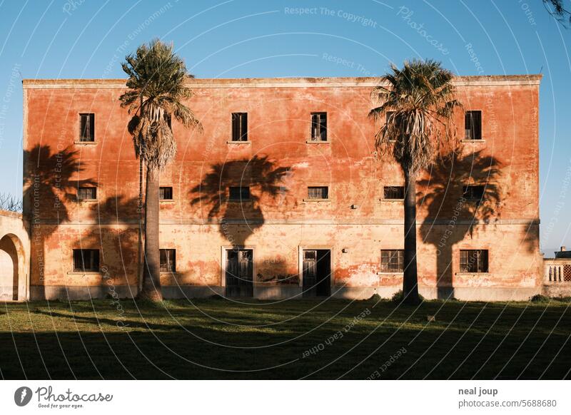 Palmen werfen Schatten auf eine terracotta farbene Hausfassade Gebäude Fassade vintage Ruine Silhouette Verfall Vergänglichkeit Wand Fenster Architektur