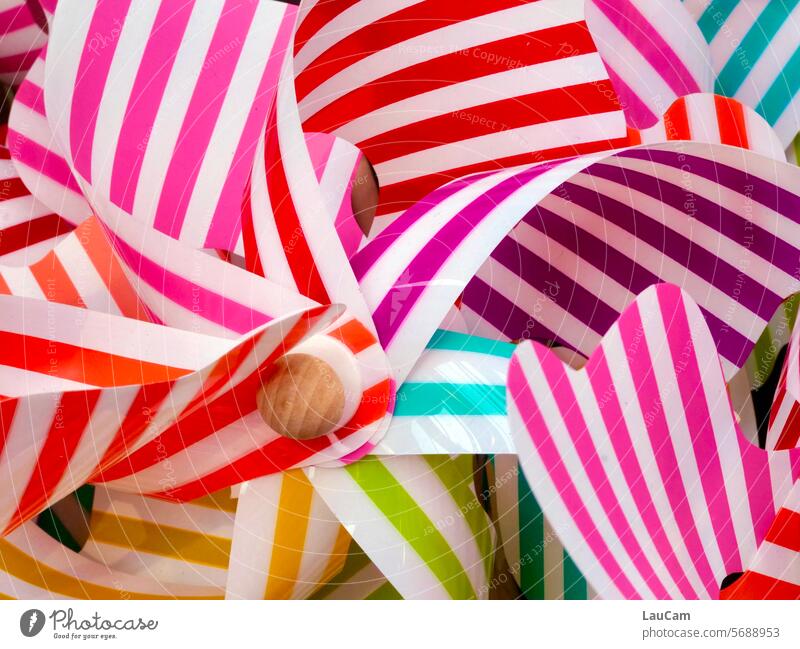 Bunte Windräder Windrad bunt gestreift farbig farbenfroh Sommerwind drehen sich drehen Bewegung mehrfarbig Farbe Freude Spielzeug Windmühle Kindheit spielen