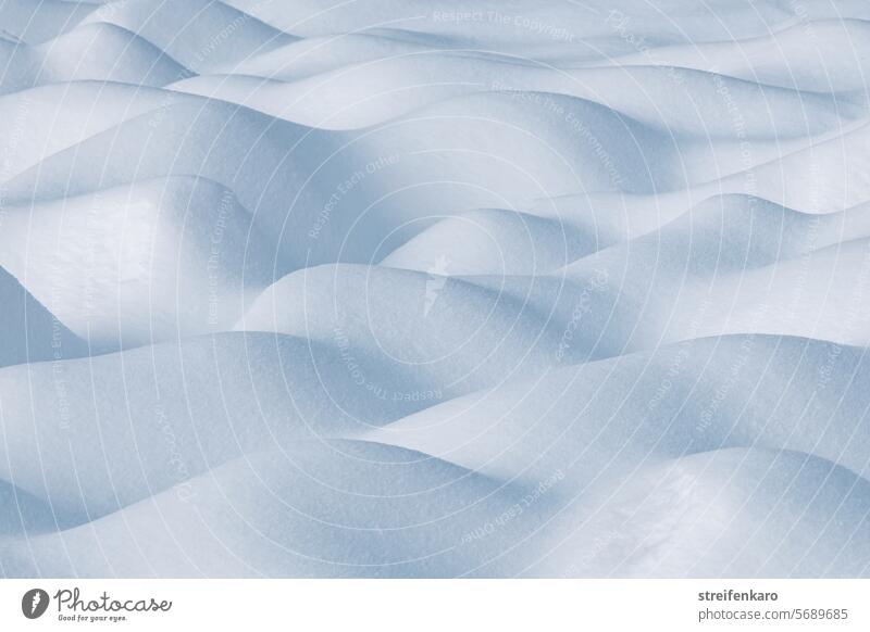 Schneewellen II Winter kalt Form Struktur weiß abstrakt ruhig schlicht Natur Frost Eis Außenaufnahme Muster Strukturen & Formen natürlich Detailaufnahme