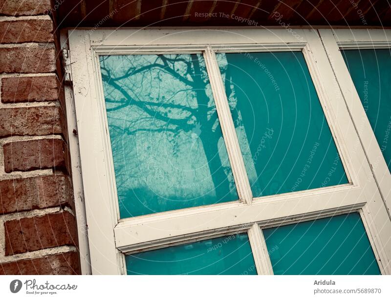 Fenster mit weißem Rahmen, die Fenster sind mit türkisfarbener Folie beklebt Spiegelung Türkis abgeklebt Fensterkreuz Backstein Backsteinwand schräg Fassade