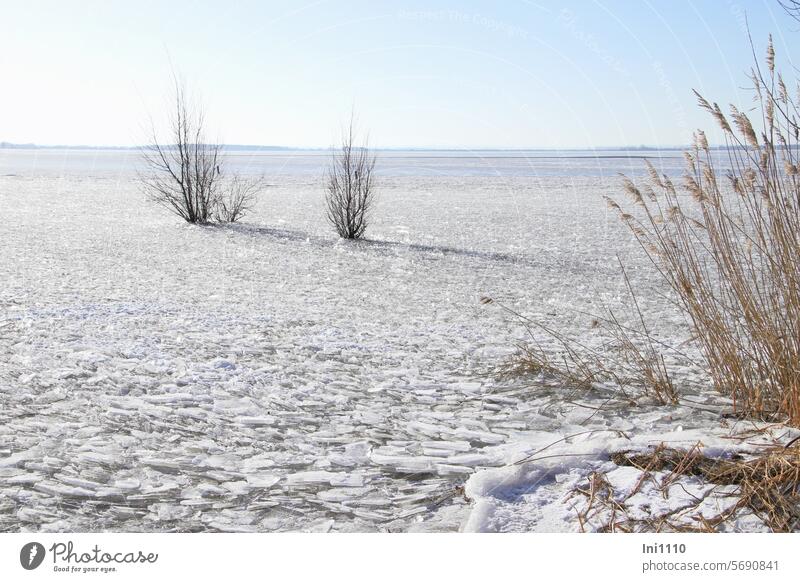 Eiszeit am Dümmer II Winter Natur Landschaft See Binnensee zugefroren Sonnenschein Sandstrand Wasserspiegel Frost Wind Naturphänomen Minieisschollen eckig Risse