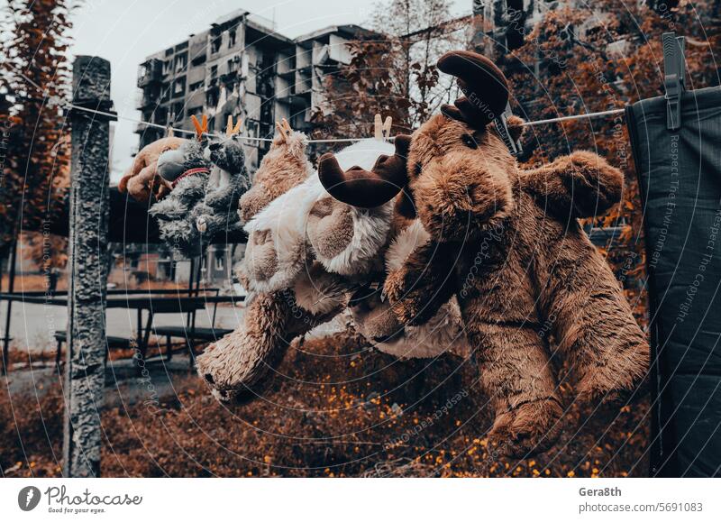 Stofftiere werden nach dem Waschen vor dem Hintergrund eines ausgebrannten Gebäudes in Mariupol getrocknet donezk Kherson kyiv Lugansk mariupol Russland Ukraine