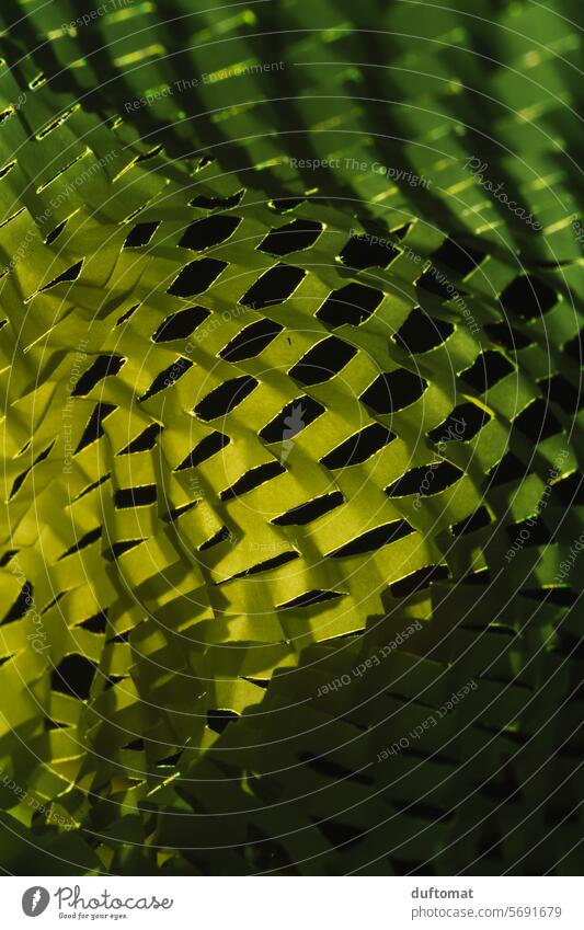 Grün, Struktur, Muster aus Papier Verpackungsmaterial struktur Unschärfe Hintergrund Hintergrundbild Hintergründe Schatten Schattenspiel Schattenwurf