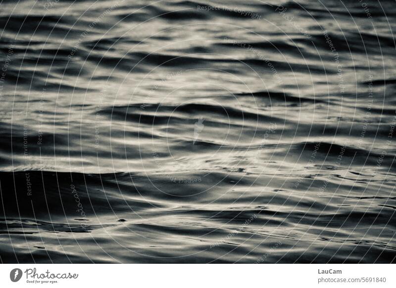 Blick aufs Meer Wasser Wellen See wellig Wellenkamm Wellental Bewegung Wellengang Wellenform Wellenlinie Wasseroberfläche Ozean ozeanisch