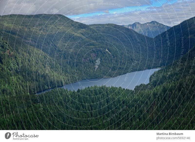 Luftaufnahme der Wildnis in Alaska mit Bäumen und einem Fluss See Antenne Landschaft blau im Freien Wasser Natur Ansicht schön malerisch Park Berge Architektur