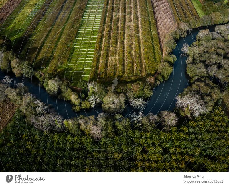 Luftaufnahme des Flusses Umia, der durch die Albariño-Weinanbaugebiete in Oubiña, Cambados, fließt Fluss Umia Weinberge Weinberge des Albariño Ackerland