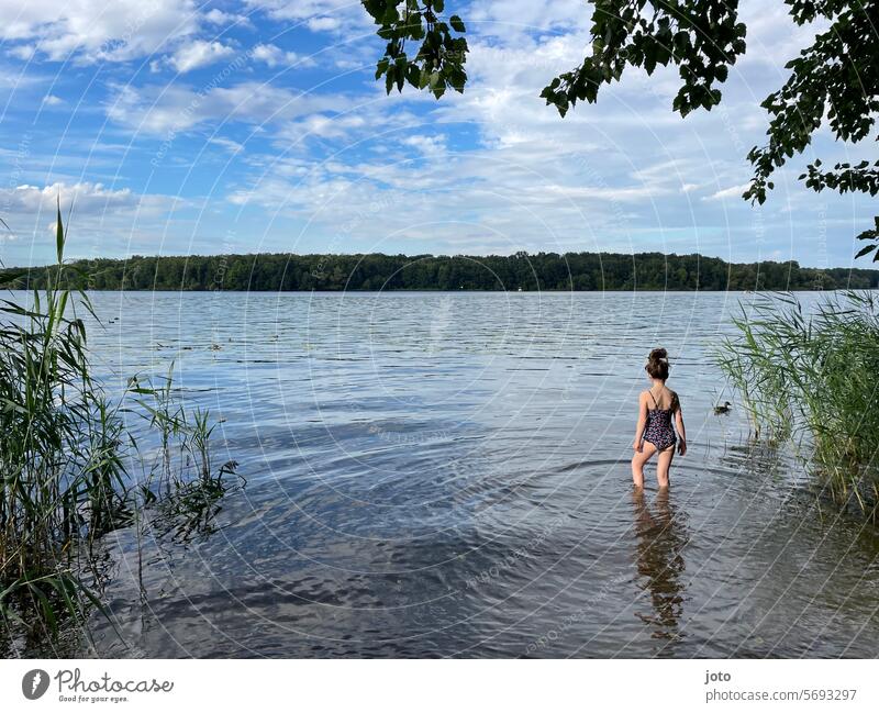 Mädchen läuft in einen See zum Baden hinein Sommer Sommerurlaub sommerlich Sommerferien Badeanzug Kind Kindheit Seeufer baden Badeurlaub Schilf Schilfrohr