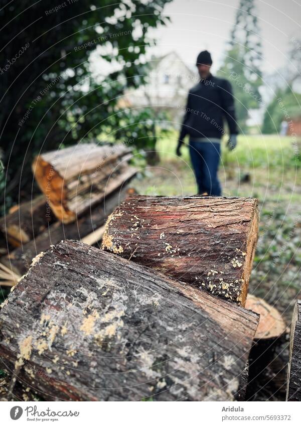 Zypressen | Holzstapel | Mann im Hintergrund Forstwirtschaft Abholzung Baum Nutzholz Stapel Jahresringe Baumscheibe geschnitten braun Struktur Rinde Baumrinde