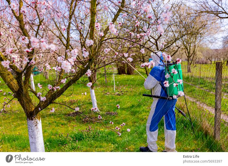 Gärtner im Schutzanzug besprüht Obstbäume mit einer langen Spritze im Obstgarten Aerosol landwirtschaftlich Ackerbau biochemisch Biogefährdung Blowout botanisch