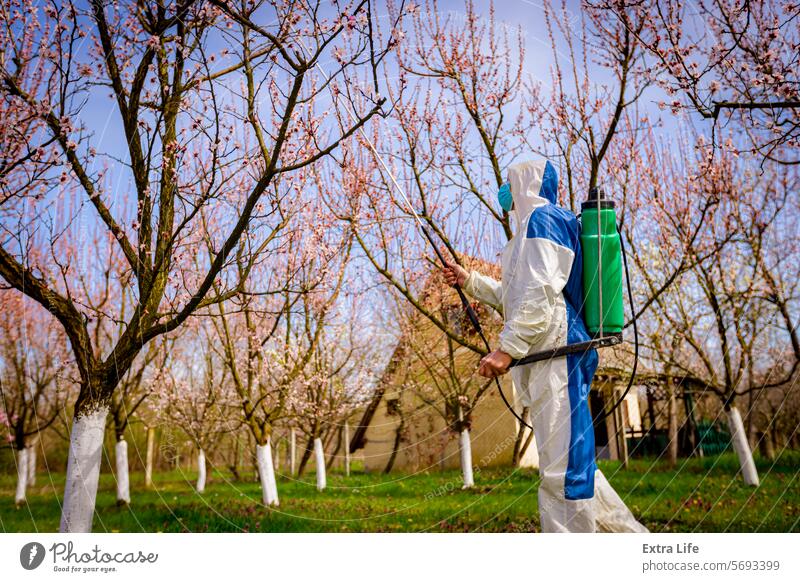 Gärtner im Schutzanzug besprüht Obstbäume mit einer langen Spritze im Obstgarten Aerosol landwirtschaftlich Ackerbau biochemisch Biogefährdung Blowout botanisch