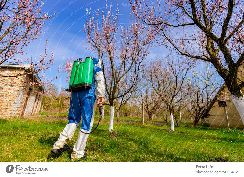 Rückenansicht eines Gärtners im Schutzanzug, der Obstbäume mit einer langen Spritze im Obstgarten besprüht Aerosol Ackerbau Apfel biochemisch Biogefährdung