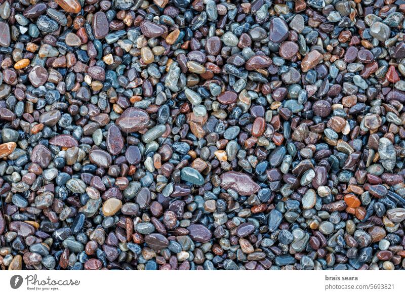 Vollbildaufnahme von Kieselsteinen am Strand geologisch mehrfarbig Geologie Mine Stein Pastellfarben Muster Tapete Natur MEER Ufer Meereskiesel voller Rahmen