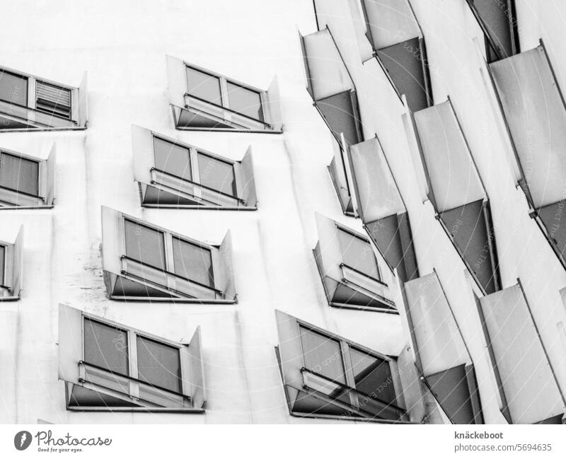 vis à  vis Fenster Gebäude Architektur Wand Fassade moderrn grau neuer zollhof