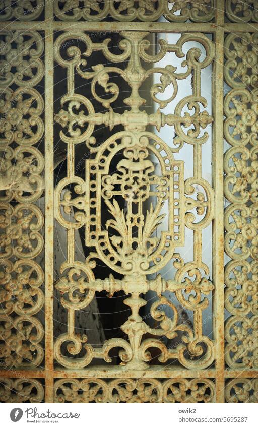 Familiengruft Portal altehrwürdig geschmiedet schmiedeeisern Nostalgie Metall verschlossen historisch geschwungen Detailaufnahme Eingangstür Eisen Ornamente