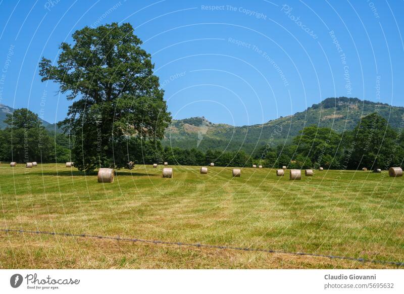 Ländliche Landschaft in Molise, Italien, in der Nähe von Carovilli Europa Isernia San Pietro Avellana Ballen Farbe Tag Feld grün Hügel historisch Natur alt