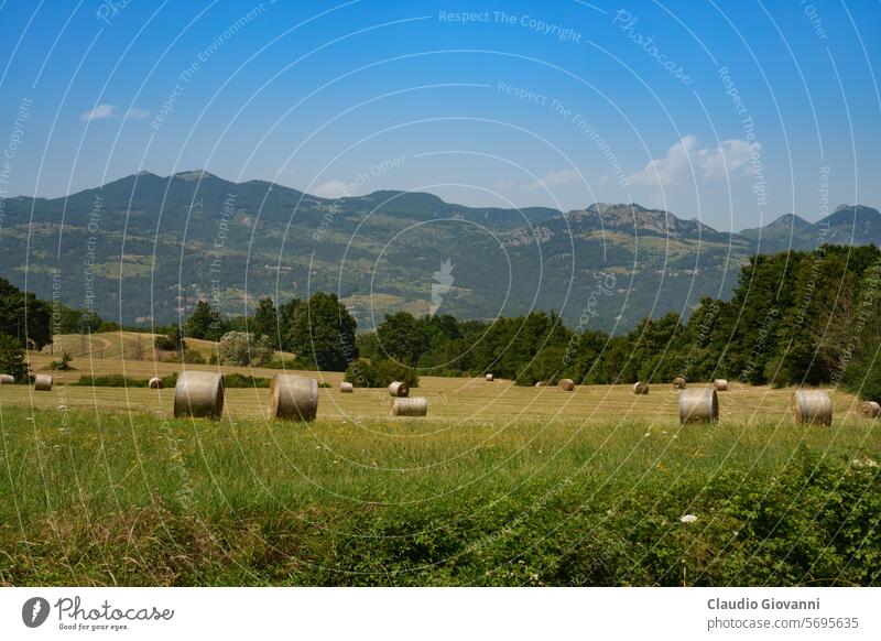 Ländliche Landschaft in Molise, Italien, in der Nähe von San Pietro Avellana Europa Isernia Ballen Farbe Tag Feld grün Hügel Natur Fotografie ländlich Sommer