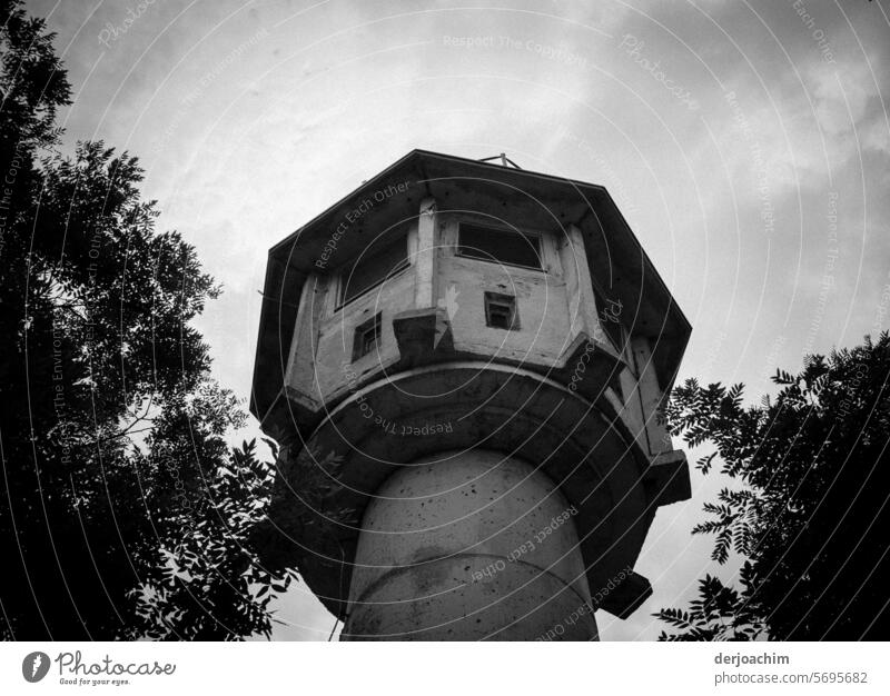 Historisches Denkmal: Alter DDR Wachturm in Berlin. Zwischen Bäumen platziert. Turm Architektur Menschenleer historisch Bauwerk Wahrzeichen alt Himmel Tag