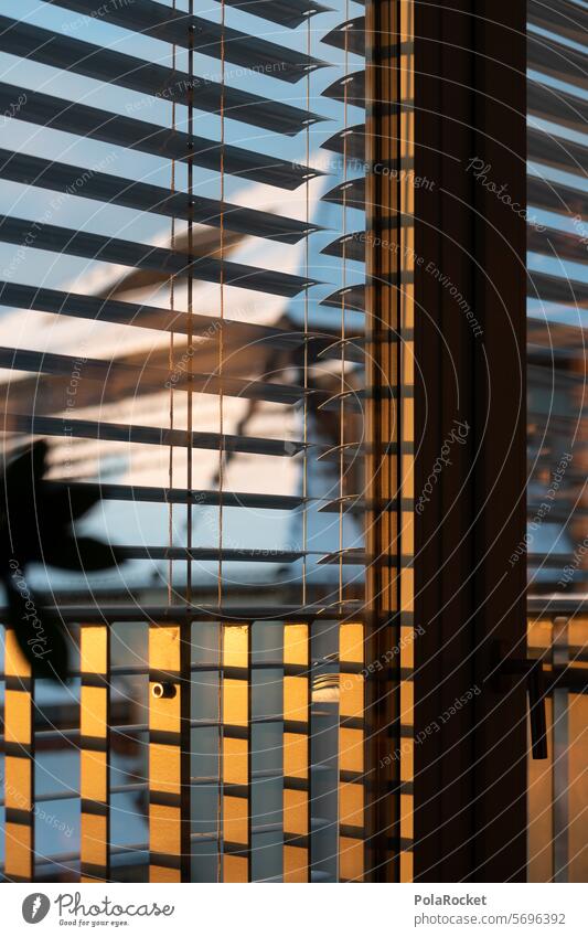 #A0# durch die Jalousie Spiegelung Reflexion & Spiegelung Scheibe Lampe Architektur Glas Fenster Fensterscheibe Glasscheibe Gebäude Licht Stadt Menschenleer
