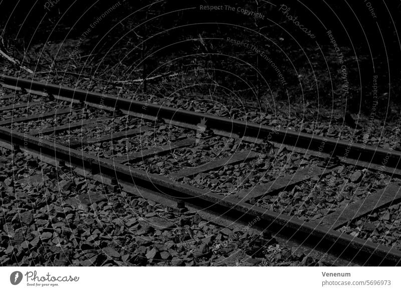 Analoge Schwarzweißfotografie, alte unbenutzte Bahngleise in einem Wald analog Analogfoto analoge fotografie Analogfotografie Analoges Foto analogue