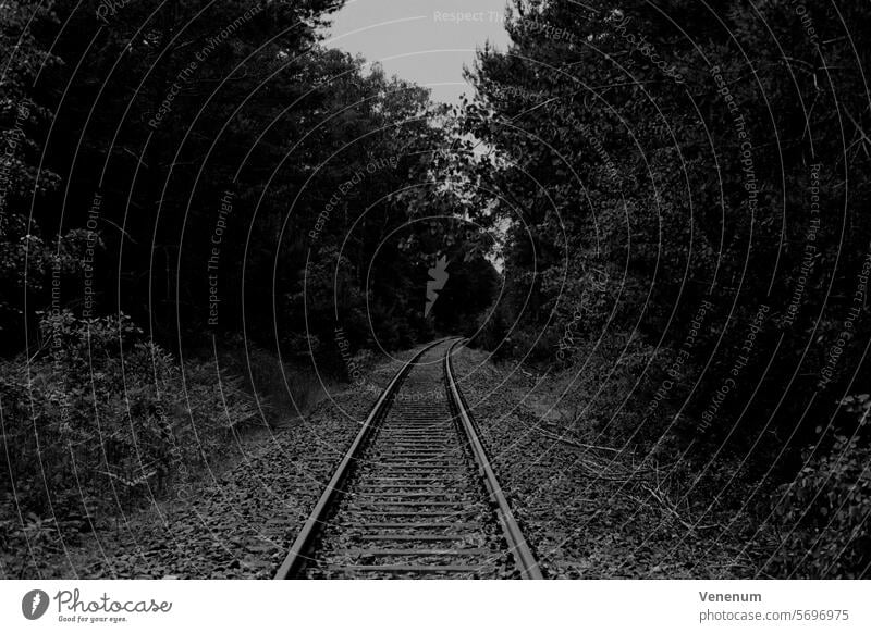 Analoge Schwarzweißfotografie, alte unbenutzte Bahngleise in einem Wald in Teltow Fläming nahe Luckenwalde analog Analogfoto analoge fotografie Analogfotografie