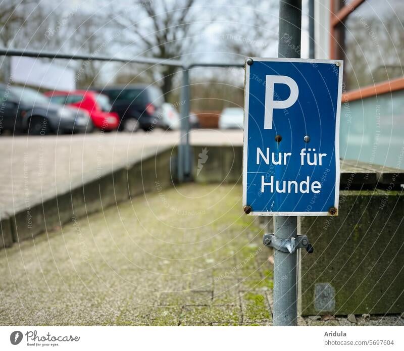 Schild „Nur für Hund“ an einem Parkplatz Hunde anleinen parken Autos PKW