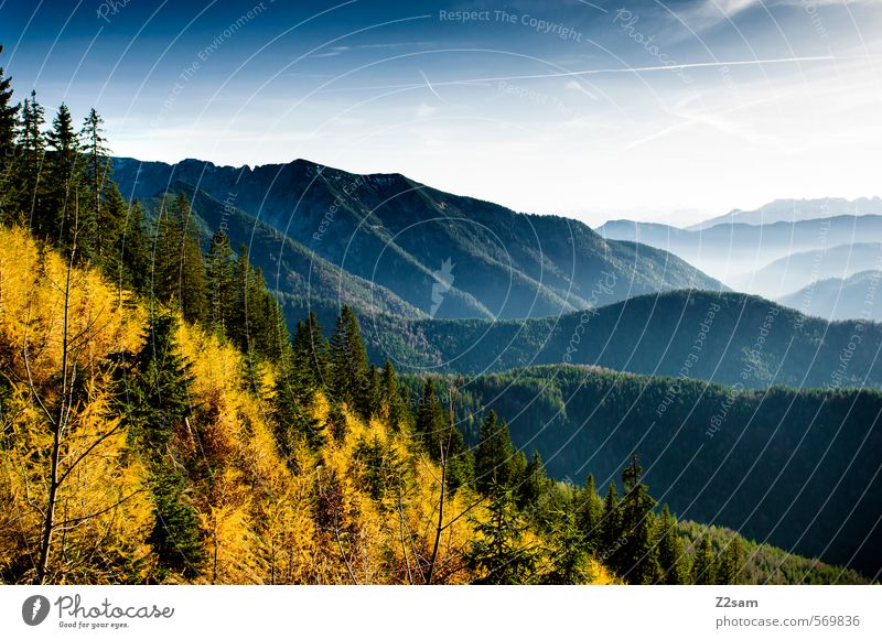 Herbstpanorama Berge u. Gebirge wandern Umwelt Natur Landschaft Schönes Wetter Baum Sträucher Wald Hügel Alpen nachhaltig natürlich oben blau gelb grün ruhig