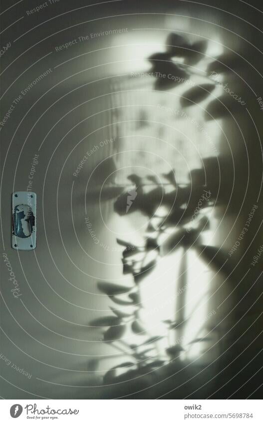 Schiebetür Tür Griff Detailaufnahme Innenaufnahme Alltagsfotografie Detailansicht Häusliches Leben Lichtspiel Schattenwurf Schattenbild Stille einfach
