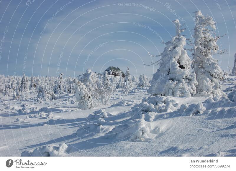 Winter im Isergebirge Jakuszyce Jahreszeiten weiß Schnee Außenaufnahme Winterstimmung Schneelandschaft Kälte Menschenleer Wintertag Schneedecke