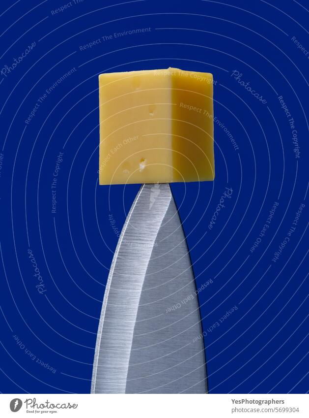 Käse auf Messerspitze, Nahaufnahme, minimalistisch auf blauem Hintergrund abstrakt Klinge hell Chrom abschließen Farbe Textfreiraum Würfel8 geschnitten