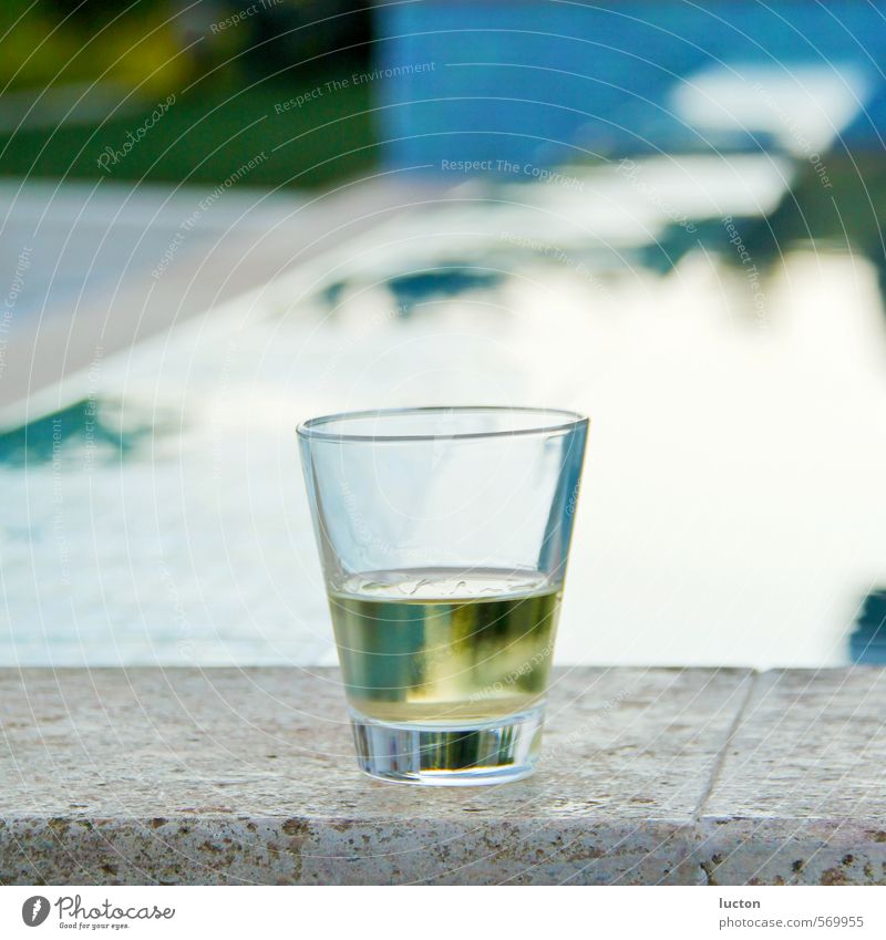 Drink am Pool | Glas Weiswein | Martini Lebensmittel Alkohol Wein Weissweinglas elegant Stil Ferien & Urlaub & Reisen Garten Wasseroberfläche Wasserspiegelung