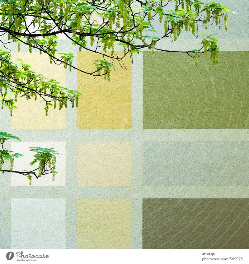 Frühlingsgefühle Stil Design Wand Ast Mauer Fassade Blühend einfach trendy schön grün Farbe Ordnung Farbfoto Außenaufnahme abstrakt Muster Strukturen & Formen