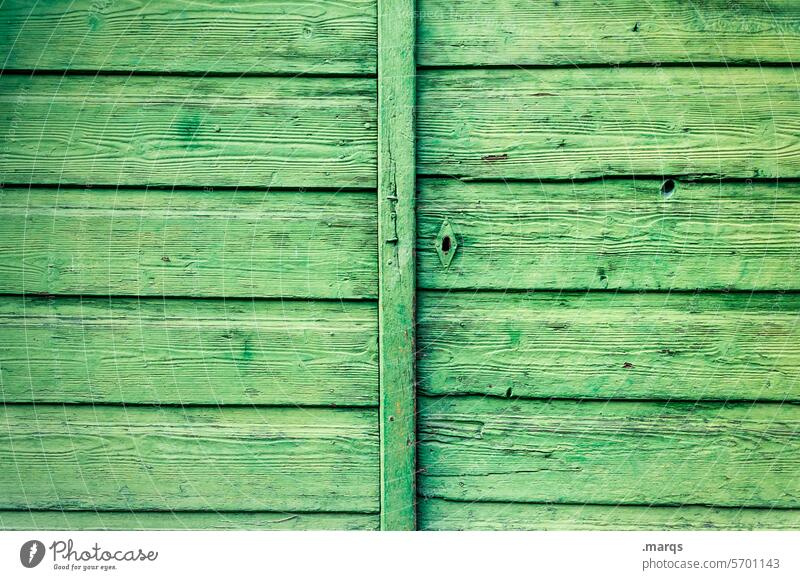 Grünes Holztor Holzwand grün Strukturen & Formen Wand alt Nahaufnahme Holzbrett Holzhütte Schloss geschlossen Eingang Tor Sicherheit einfach rustikal
