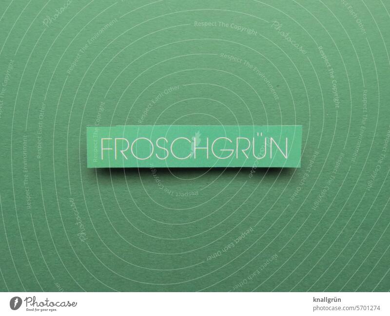Froschgrün Text Farbe Schriftzeichen Wort Buchstaben Typographie Menschenleer Printmedien ausgeschnitten Papier Kommunikation Sprache Druckschrift Freisteller