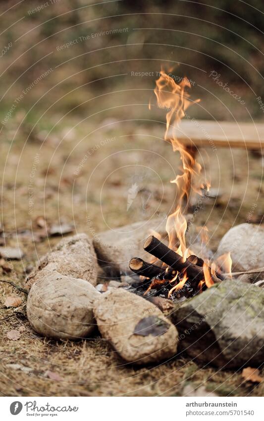 Lagerfeuer mit trockenem Holz im Steinkreis in der Natur Lagerfeuerstimmung Steine Wiese Naturerlebnis Naturliebe Feuer Feuerstelle brennen Brennholz brennend