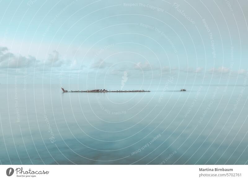 Minimalistische Aufnahme des Schiffswracks Gemma am Strand von Grand Cayman, Cayman Islands Schiffbruch Landschaft reisen Grand Cayman Strand gemma Meer blau