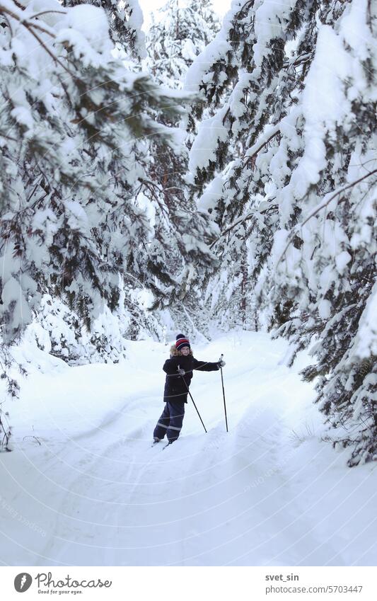Porträt eines Jungen beim Skifahren in einem verschneiten Kiefernwald. Schnee Kind Ast Pinienwald Winter kalt Sport Natur Skifahrer Menschen aktiv Berge Himmel