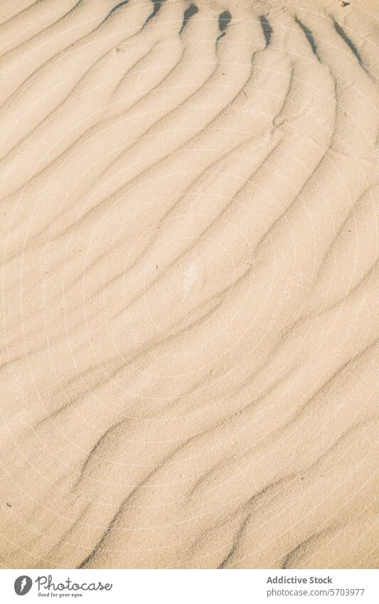 Sanfte Wellen aus Sand an einem Strand Textur winken Muster Nahaufnahme natürlich Gelassenheit einfach Ästhetik weich Erdton Hintergrund Oberfläche