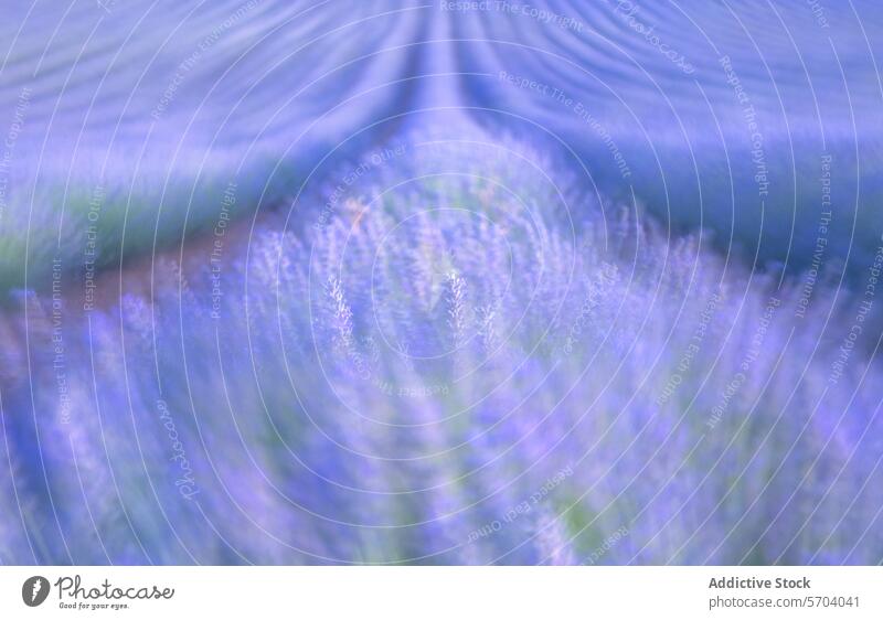 Abstrakter blauer und lila strukturierter Hintergrund abstrakt purpur Textur Nahaufnahme Tiefe Bewegung Oberfläche Weichzeichner Muster Design Detailaufnahme