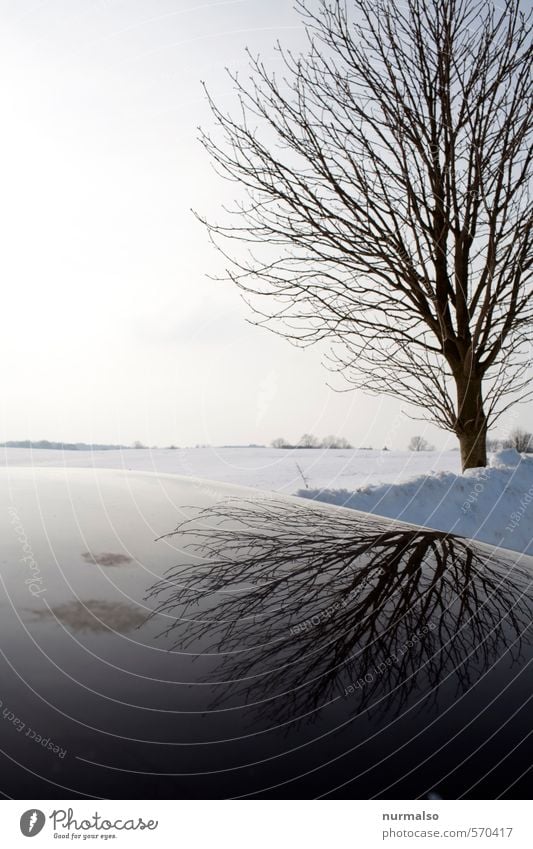 entgegenweg Ausflug Ferne Winter Schnee Winterurlaub wandern Joggen Yoga Kunst Umwelt Natur Landschaft Horizont Schönes Wetter Eis Frost Baum Fahrzeug frieren